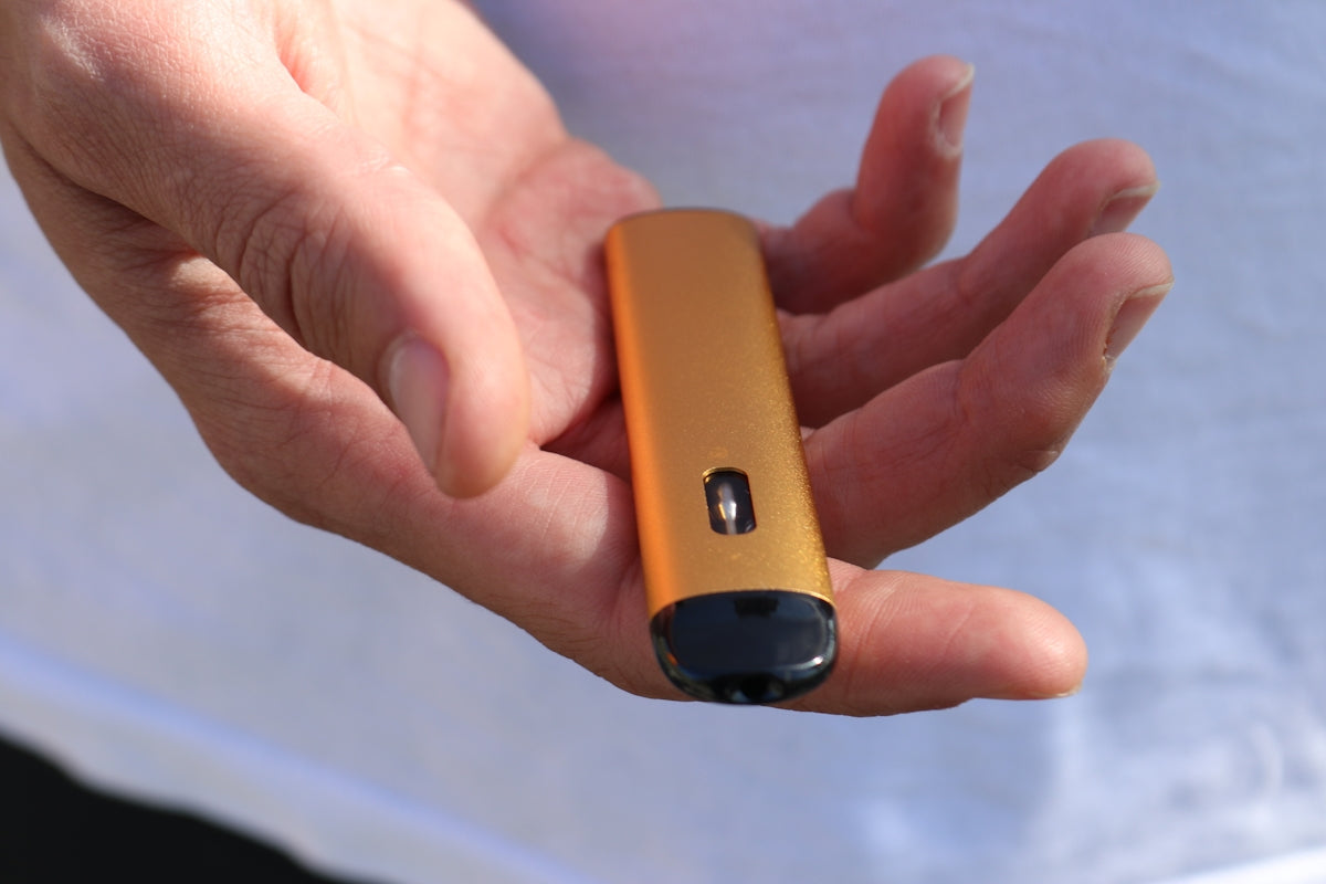 a person holding a cell phone