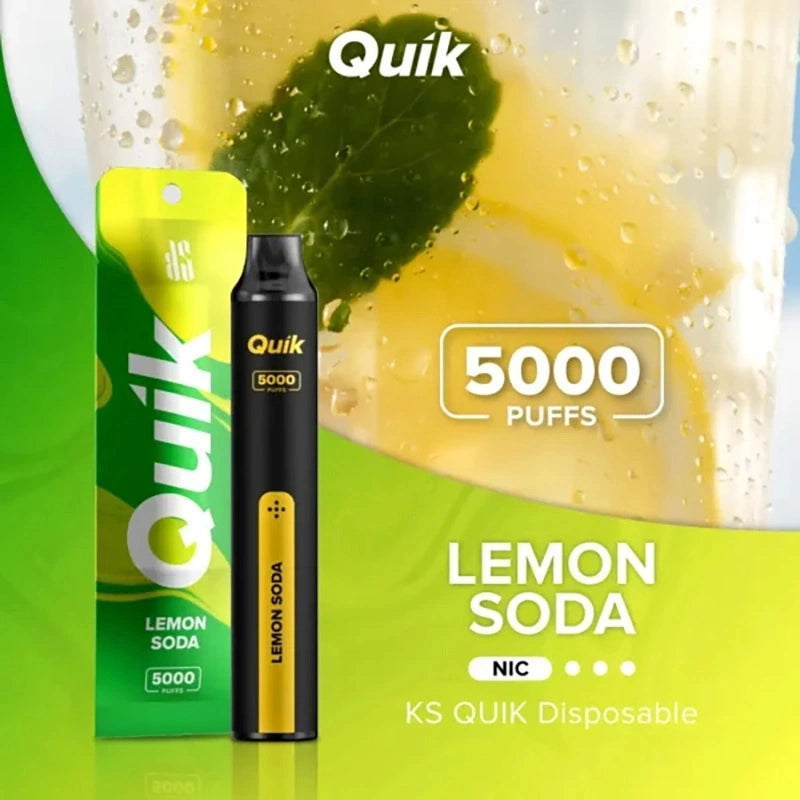 Quik Easy Refillable Vape with Type C Charging - 5000 Puffs-(Without B   vapevilla
